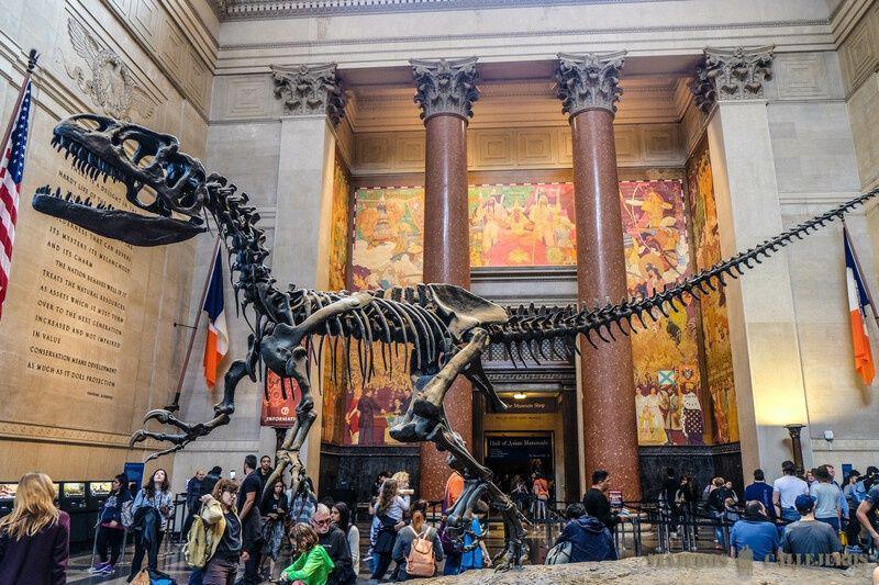 El Museo de Historia Natural de Nueva York es una joya cultural que cautiva a visitantes de todas las edades. Con una impresionante colección de fósiles de dinosaurios, exhibiciones interactivas sobre la vida marina y terrestre, así como un planetario de última generación, el museo ofrece una inmersión completa en la historia natural y el universo. Situado junto a Central Park, este museo emblemático es tanto educativo como inspirador, ideal para exploradores curiosos y amantes de la ciencia por igual.