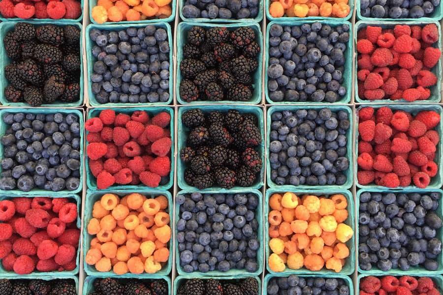 Las verduras como el brócoli y la col rizada son ricas en antioxidantes. Al igual agregar frutas variadas como arándanos y moras es importante, ya que contienen antocianinas con efectos antiinflamatorios.