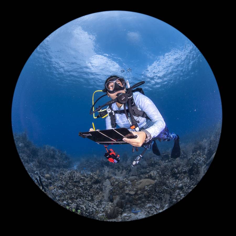 Gabriela Ochoa, primera bióloga marina hondureña en ser seleccionada por The Explorers Club