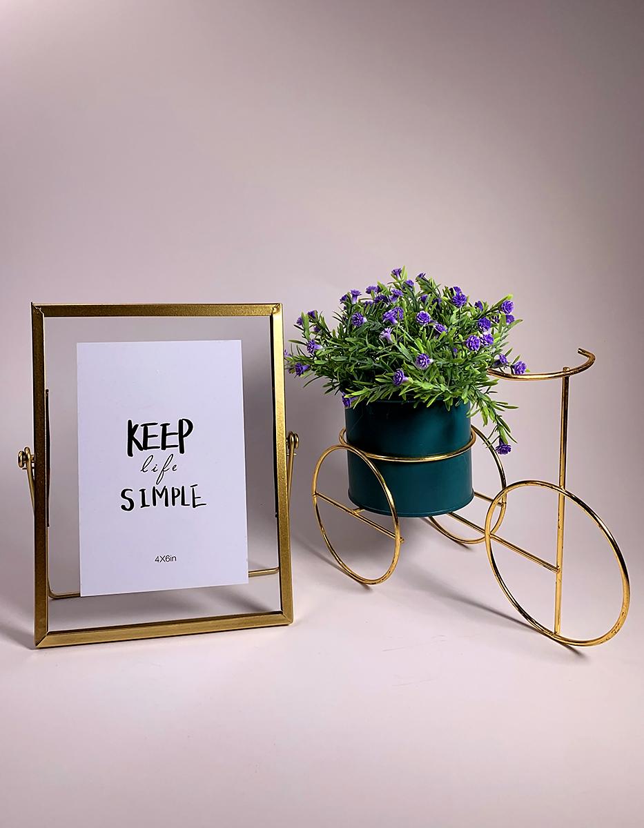 Los mejores productos para el hogar de Lady Lee