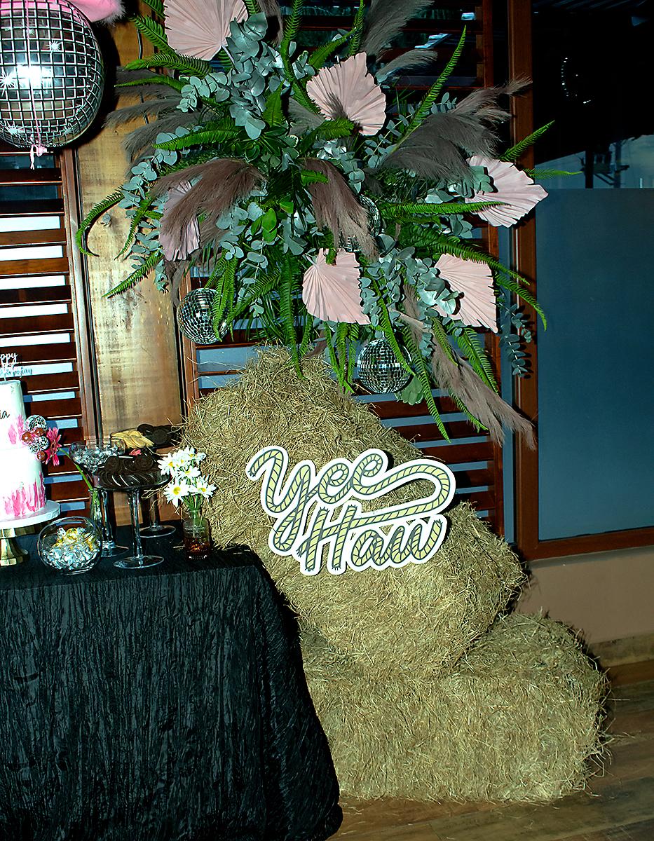 Disco Rodeo Nights de Claudia Kattán