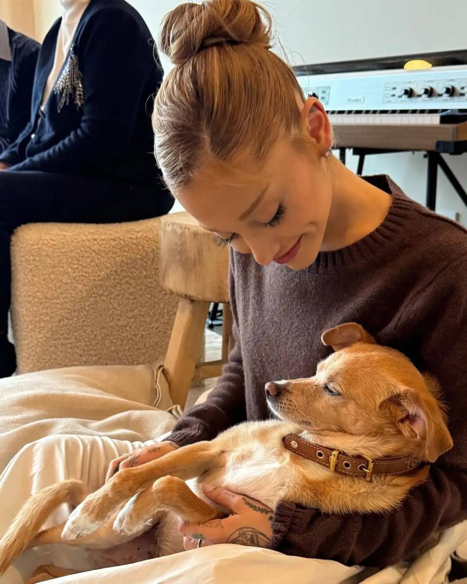 Ariana Grande junto a Toulouse, que es una mezcla entre beagle y chihuahua. 