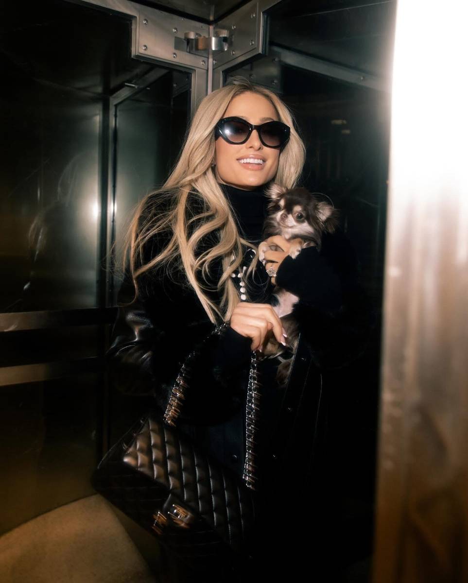 Paris Hilton con Iconic, su chihuahua miniatura. 