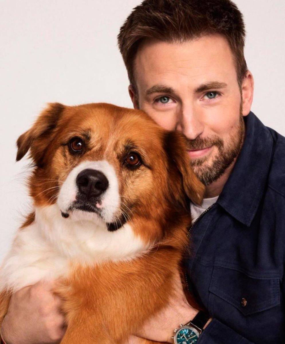 Mientras muchas personas gastas cientos de dólares comprando perros de raza, hay miles y miles de mascotas en la calle o refugios que buscan un hogar. A diferencia de otras celebridades, Chris Evans, quien es conocido por optó por ser un amante de los animales, rescatar un pequeño cachorro llamado Dodger. Aquí te contamos la dulce y emotiva historia de su adopción.